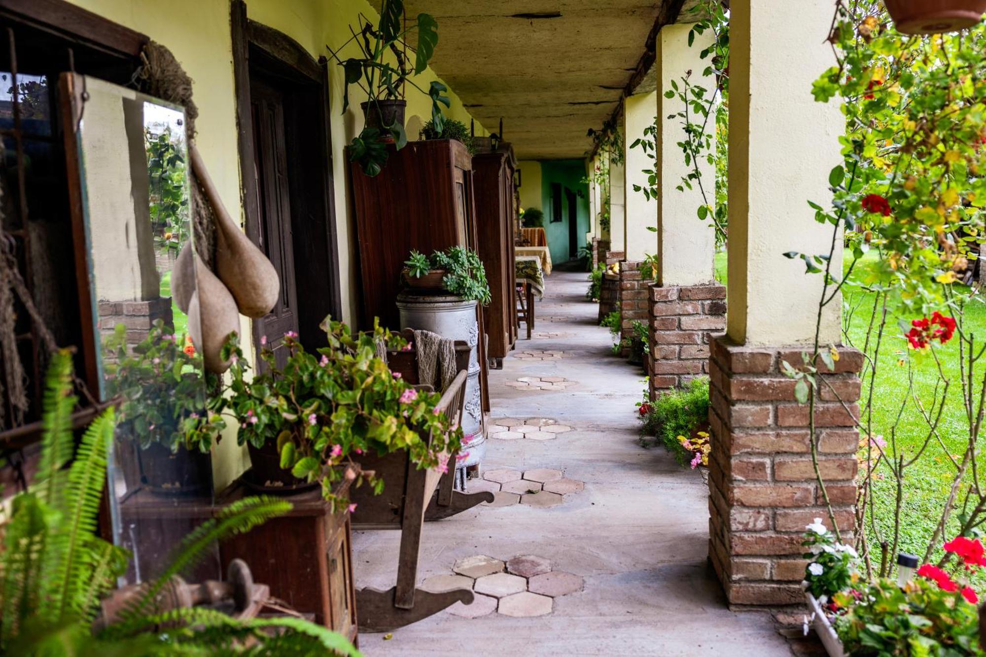 Snasini Kucari Bed and Breakfast Gradiste Buitenkant foto